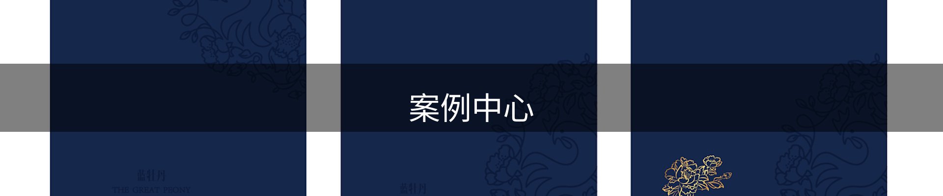 案例中心